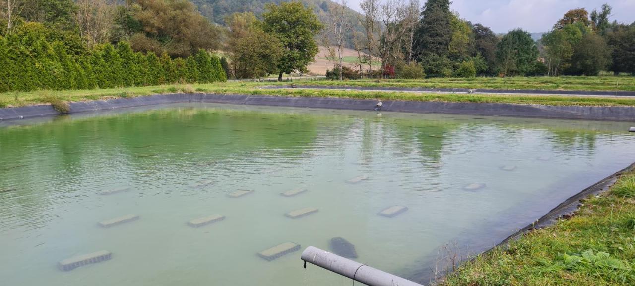 Le Moulin Aux Ecrevisses Bed & Breakfast Thonnance-les-Joinville Bagian luar foto