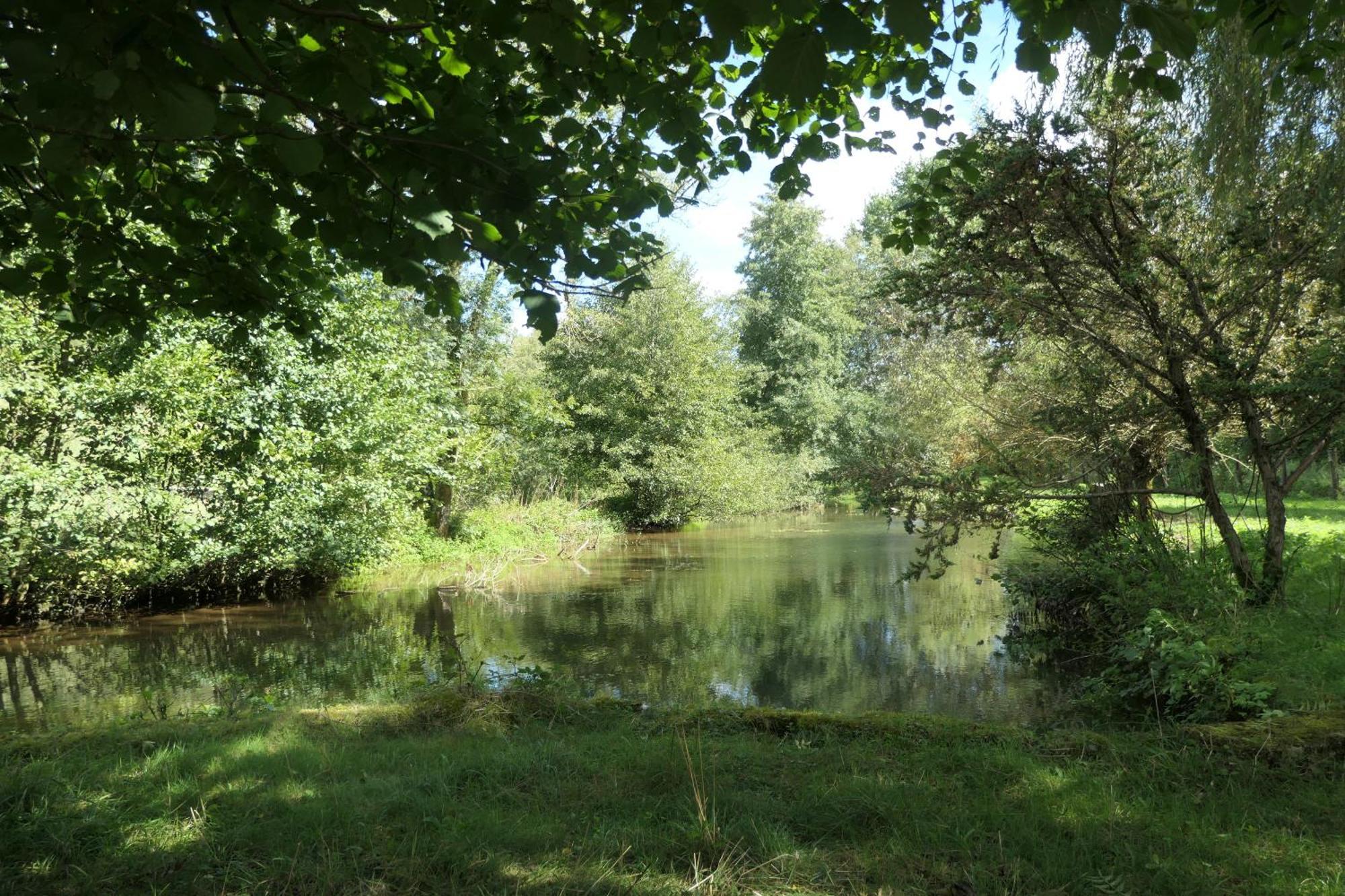 Le Moulin Aux Ecrevisses Bed & Breakfast Thonnance-les-Joinville Bagian luar foto